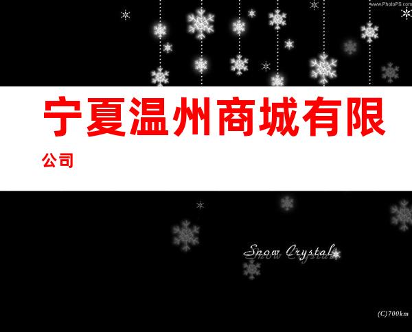 宁夏温州商城有限公司
